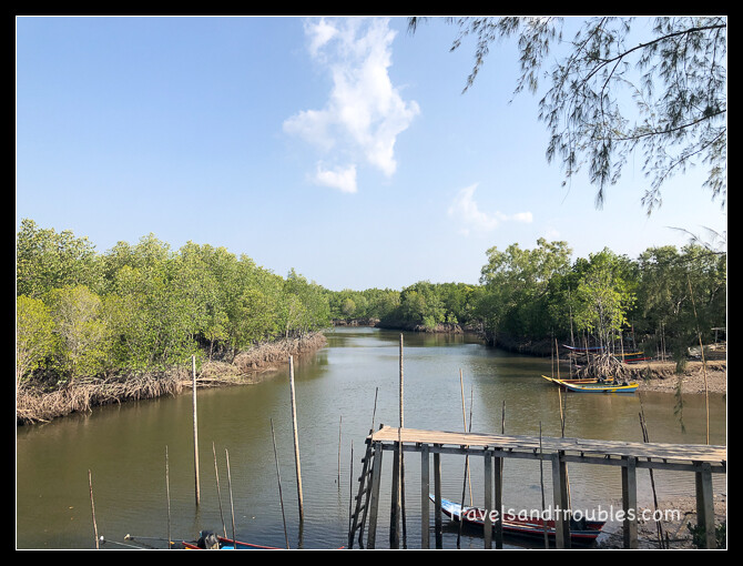 Mangrove landschap
