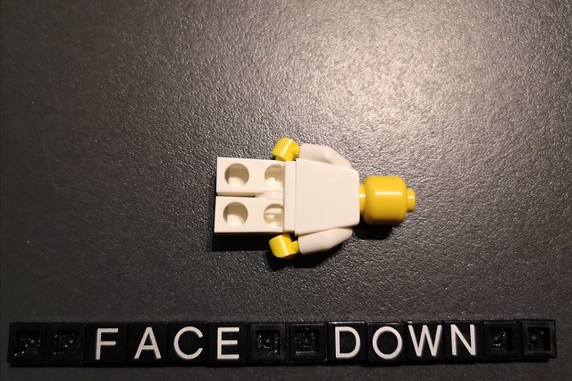 Facedown in Lego universe
