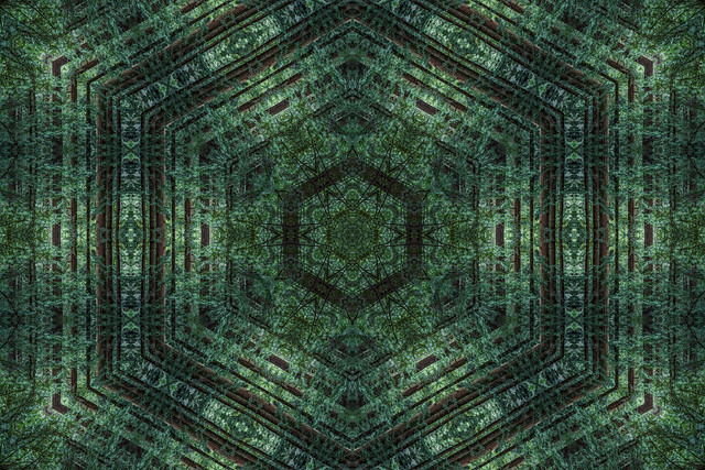 kaleidoscopic canopy