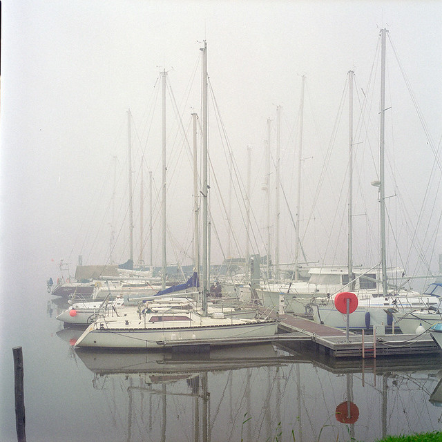 Marina covered with fog