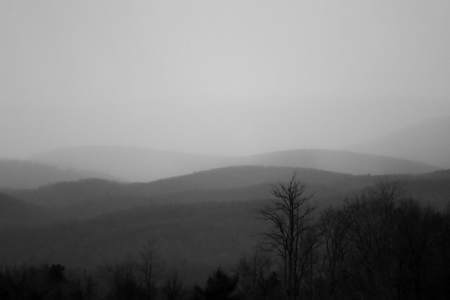 Fog in the Hills. IMG_1765b