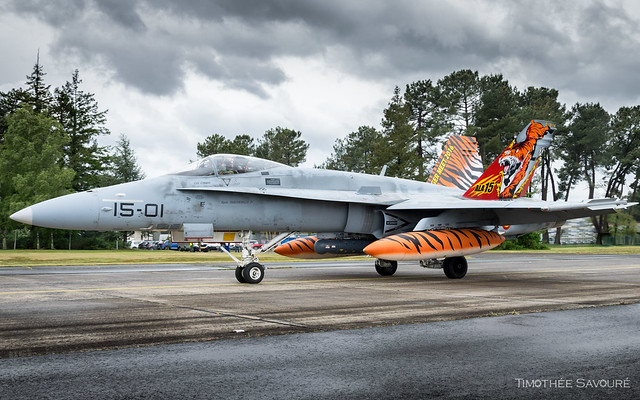 NTM19 | Ejército del Aire Lockheed F/A-18A Hornet | 15-01