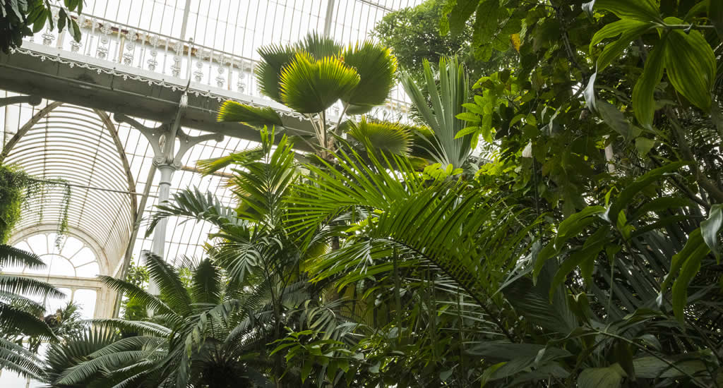 Bezienswaardigheden Londen: Kew Gardens (foto met dank aan Visit Londen) | Mooistestedentrips.nl