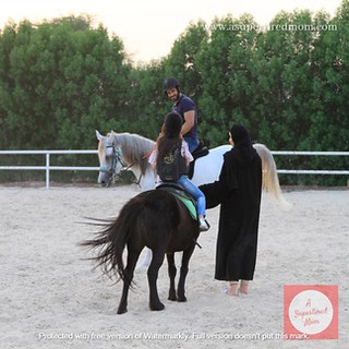 Equestrian  (2)
