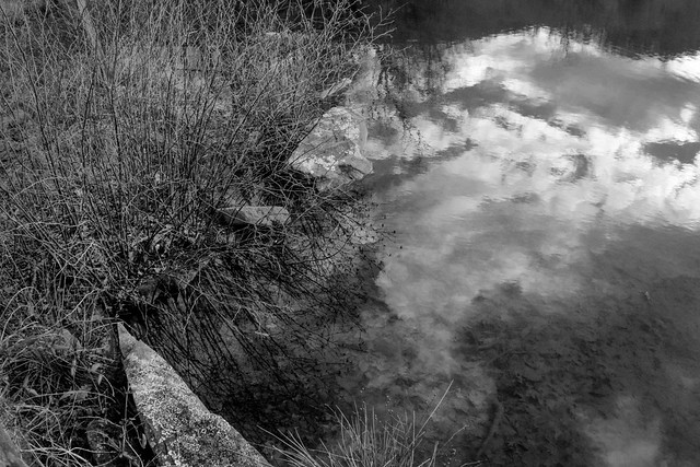 winter landscape, pond, stone wall, reflections, Montreat, NC, Nikon D3300, Asahi-Fish-Eye Takumar 17mm f-4, 2.3.20