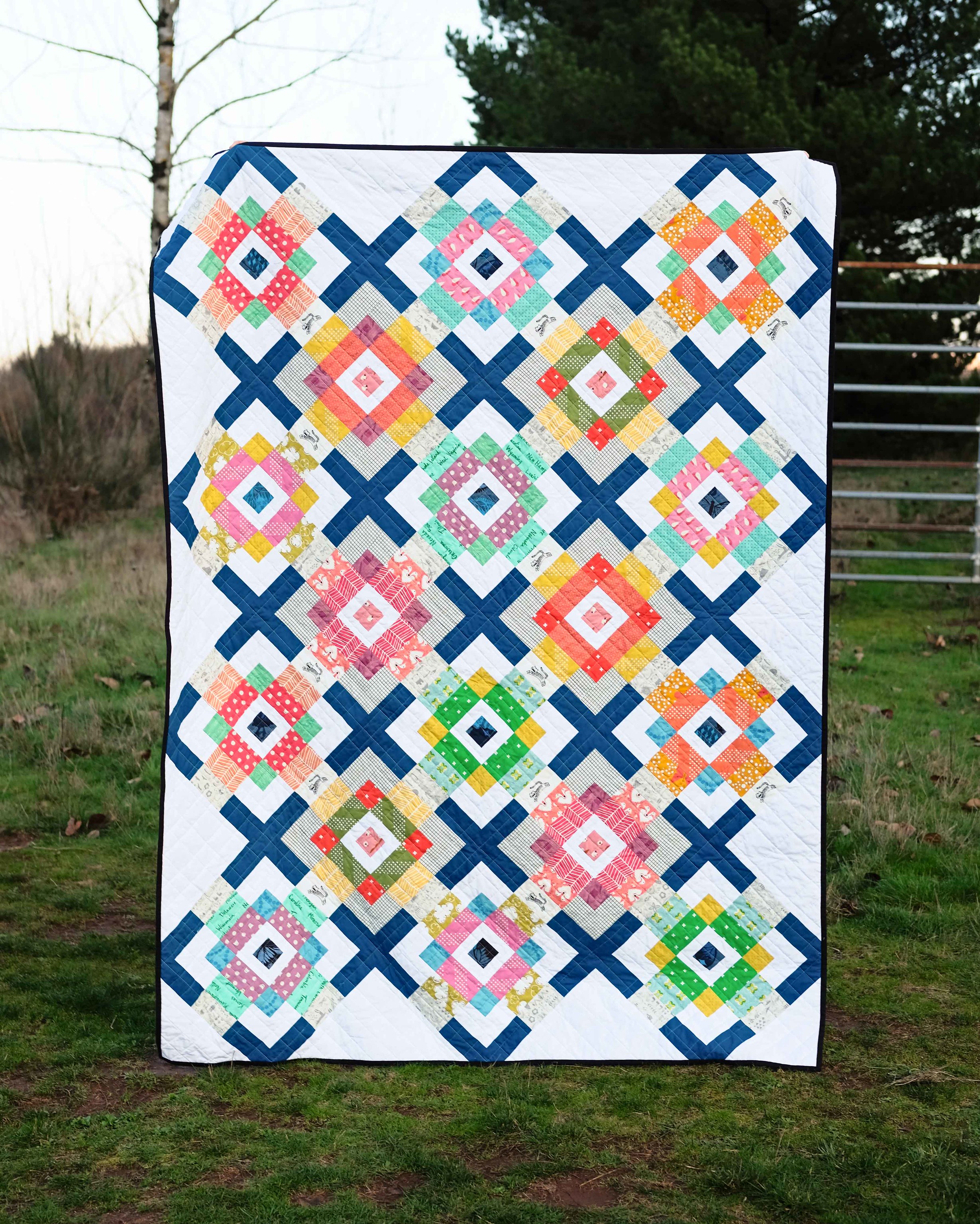 The Birdie Quilt (Jelly Roll Version) - Kitchen Table Quilting