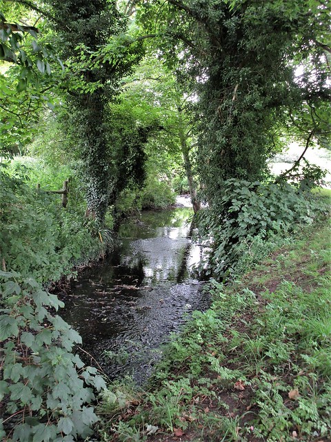 River Tiffey, woods near the abbey, Wymondham, Norfolk