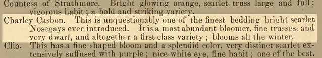 Charley Casbon flower description 1871