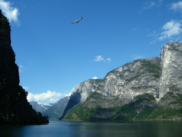 2020-02-06 Norwegen Nerofjord