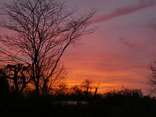 Winter sunset in Staplehurst, Kent