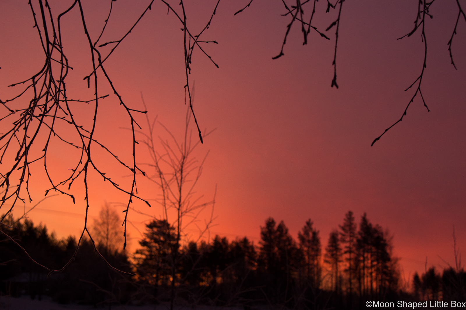 Sunrise-Finland-Polvijarvi