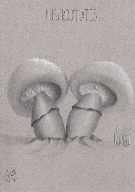 Mushroommates.