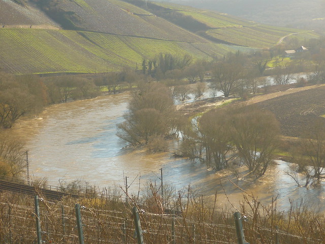 Überflutete Weichholzaue