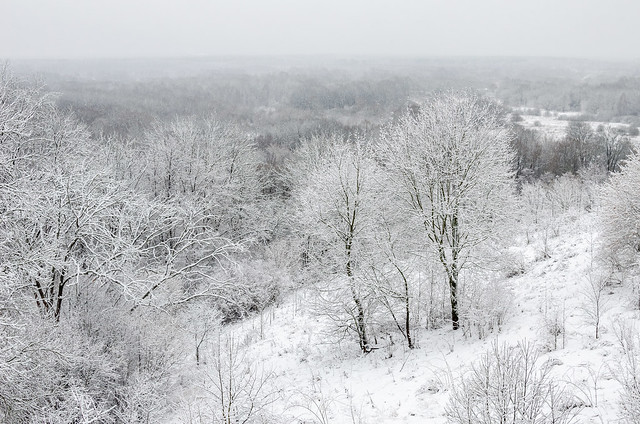 Beautiful winter landscape of snow-covered trees. Snowy winter in Russia