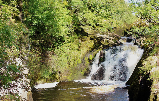 Beezley Falls (Yorkshire Dales National Park,) Ingleton Waterfall Trail