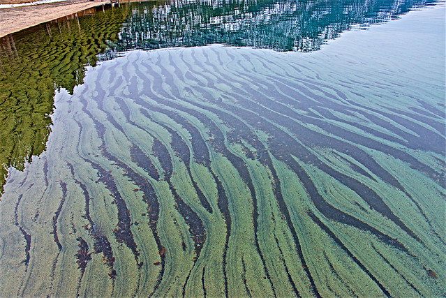 Lake Tahoe Bottom