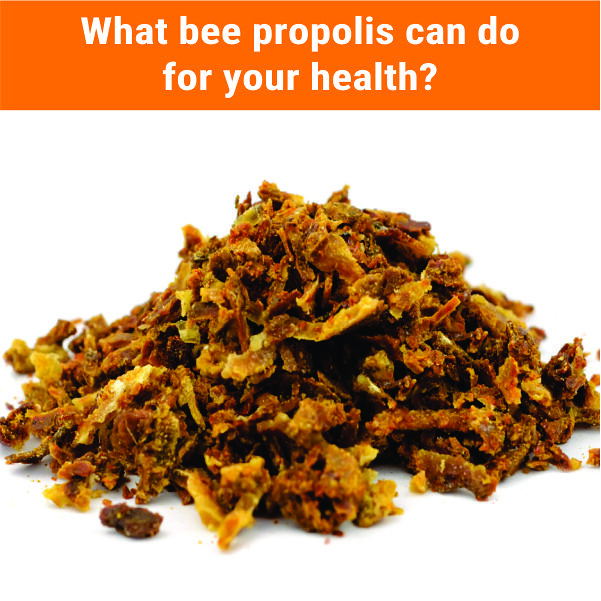 What bee propolis can do for your health