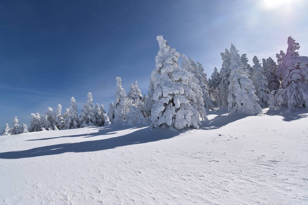 冬の根子岳　樹氷・スノーモンスター広がる雪山登山