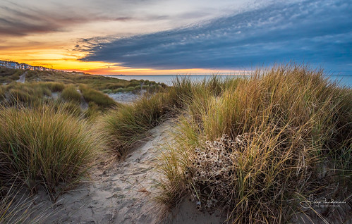 dunes beach sea sand sunset evening landscape northsea