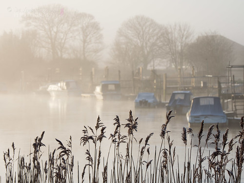 england landscape sussex europe unitedkingdom arundel ©suelambertlrpscpagb misty river reeds boats frost riverarun
