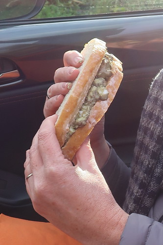 Avocdo-Ei-Sandwich (in meinen Händen)