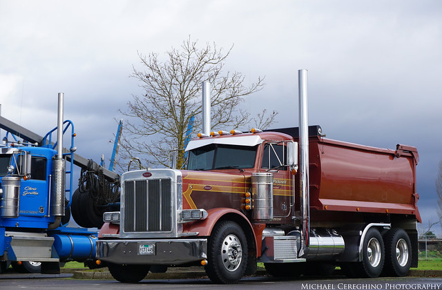 Tyler Picknell Trucking's Peterbilt 379 Dump Truck, Truck# 5