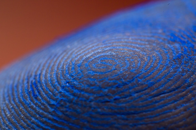Painted Fingerprint for Macro Mondays
