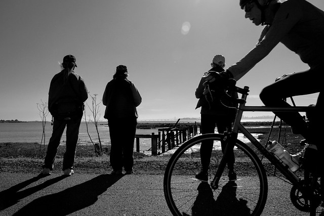 Bicyclist, bird watchers and the Bay Bridge, Point Isabel, California