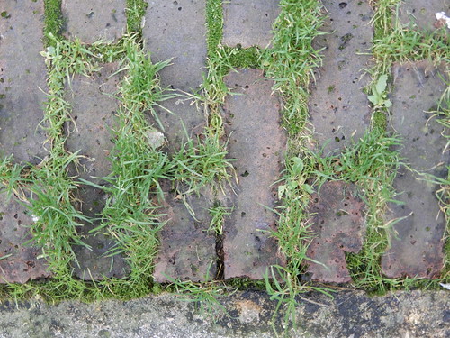 moss/grass ramp