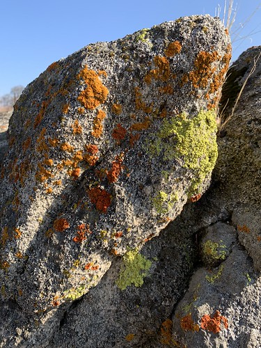 rocks lichen nature color landscape rocky
