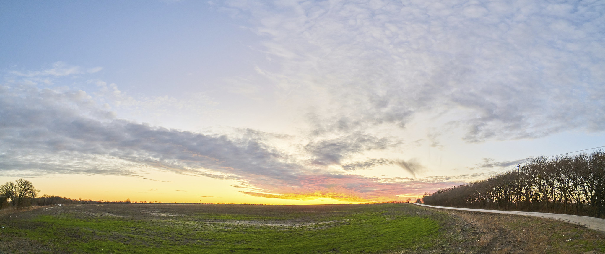 Sunset in a Field, Ultrawide