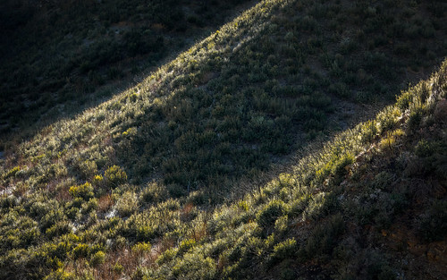 landscape nature light shadow hill california westcoast horizontal background wallpaper canoneos5dmarkiv canonef135mmf2lusm wheelersprings