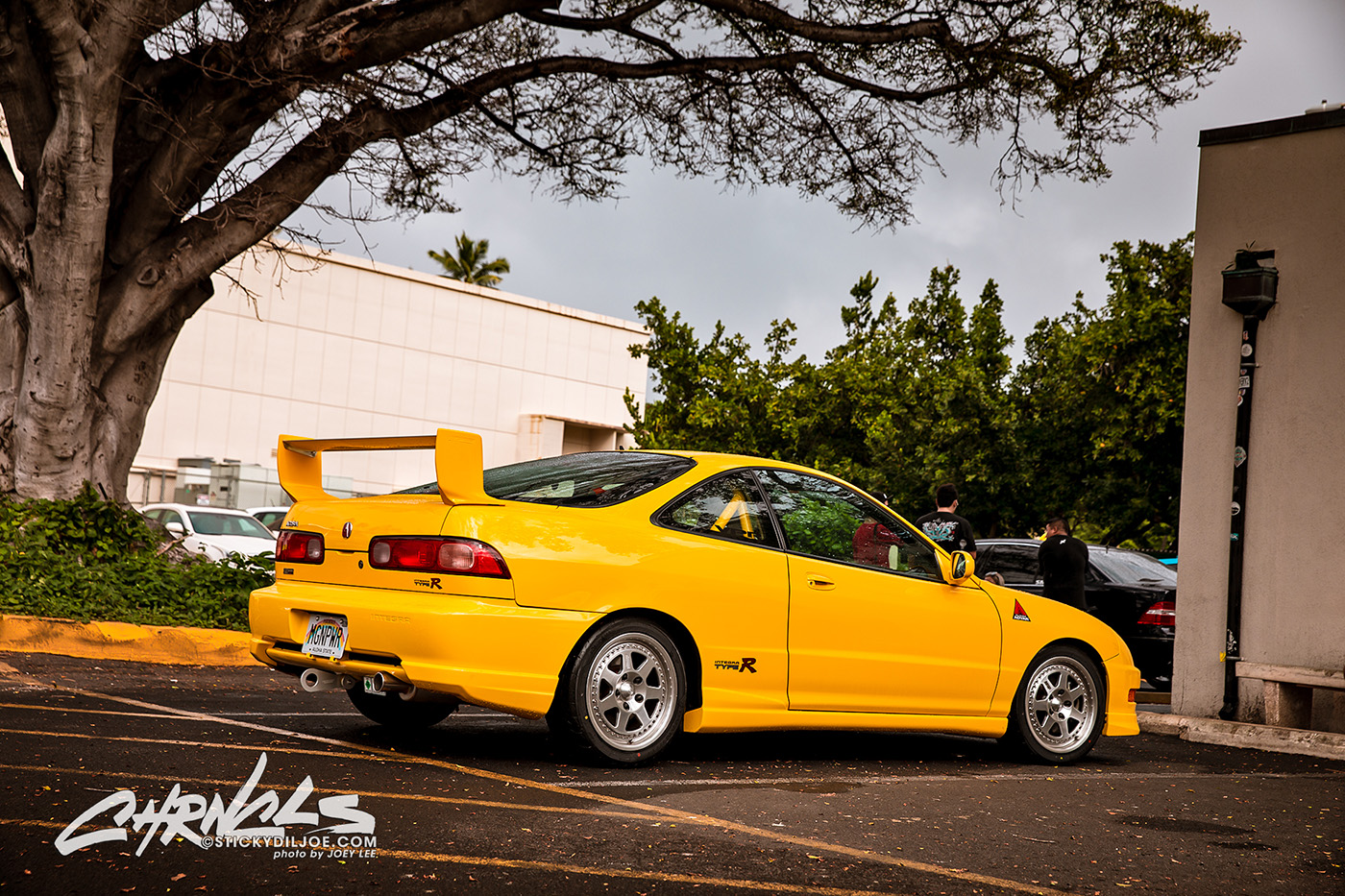 309A4231-Edit
