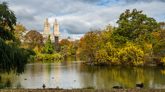 Central Park in autumn (New-York)