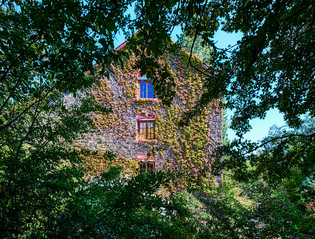 Old Mill from the arbor