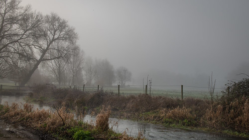 greatbritain england hampshire hartleywespall river fog landscape riverloddon water stream