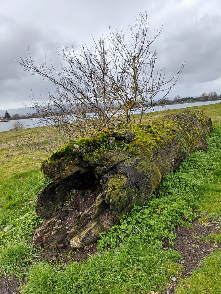 Lewis & Clark Discovery Greenway Trail, near Columbia River Triathlon