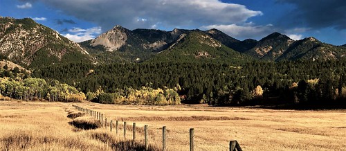 wyoming ranch range wheat catle fence wirw rockymtns horses trees mountains wilderness wild nakedbeauty cliffs rocks outcrop indians
