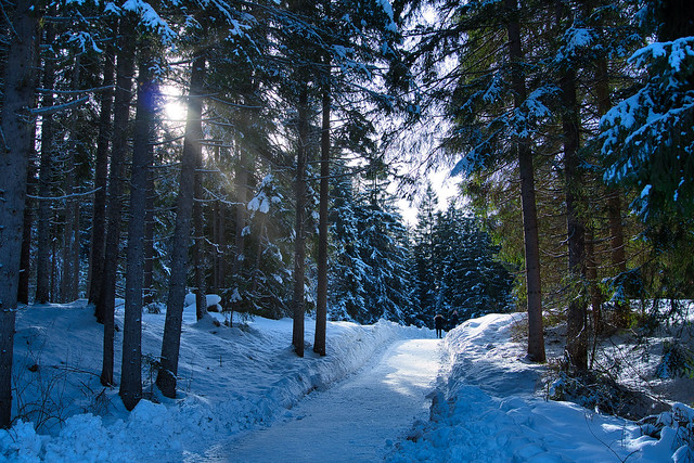 capturing sunrise in a winter wonderland