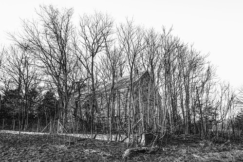 solemn d850 landscape winter bushes brush serious quiet trees abandoned barn missouri shed shack house creepy monochrome scary forgotten blackwhite farm field owensville unitedstatesofamerica