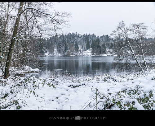 deerlake burnaby vancouver bc britishcolumbia canada winter snow landscape 604now miss604 vancitybuzz 24hrvancouver georgiastraight ctvphotos insidevancouver iamcanadian canadianbeauty colourfulvancouver photonewsgallery explorebc photography trees lake water cold pacificnorthwest pnw annbadjura ourcanada walking hiking view nature