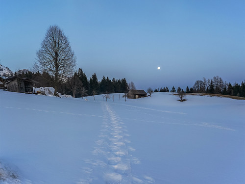 panasonikon panasonic dmcg81 lumix2017 landschaft landscape winter schnee snow baum tree mond moon bluehour blauestunde mft