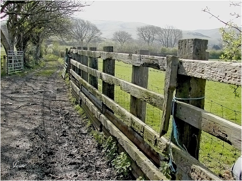 Sheep Pen Fence