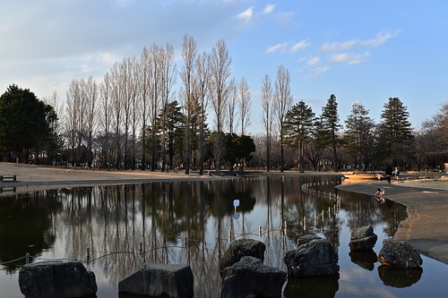 pond water reflection bluesky nature trees winter park landscape sainomoripark 菜の森公園 iruma 入間市 saitama 埼玉