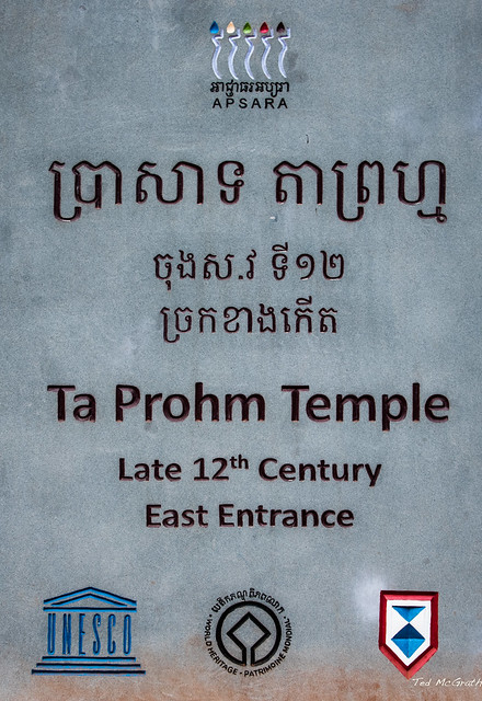 2019 - Cambodia - Siem Reap - Ta Prohm - 1