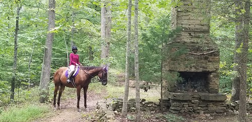 ilvsp2019 powhatanstatepark horsebackriding explore history outside spring summer animals getoutside outdooractivities trails