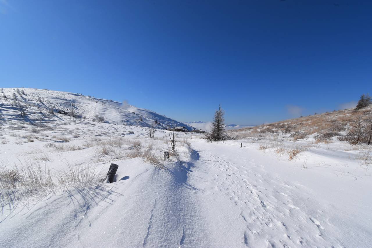 冬の鉢伏山　山頂の雪原風景