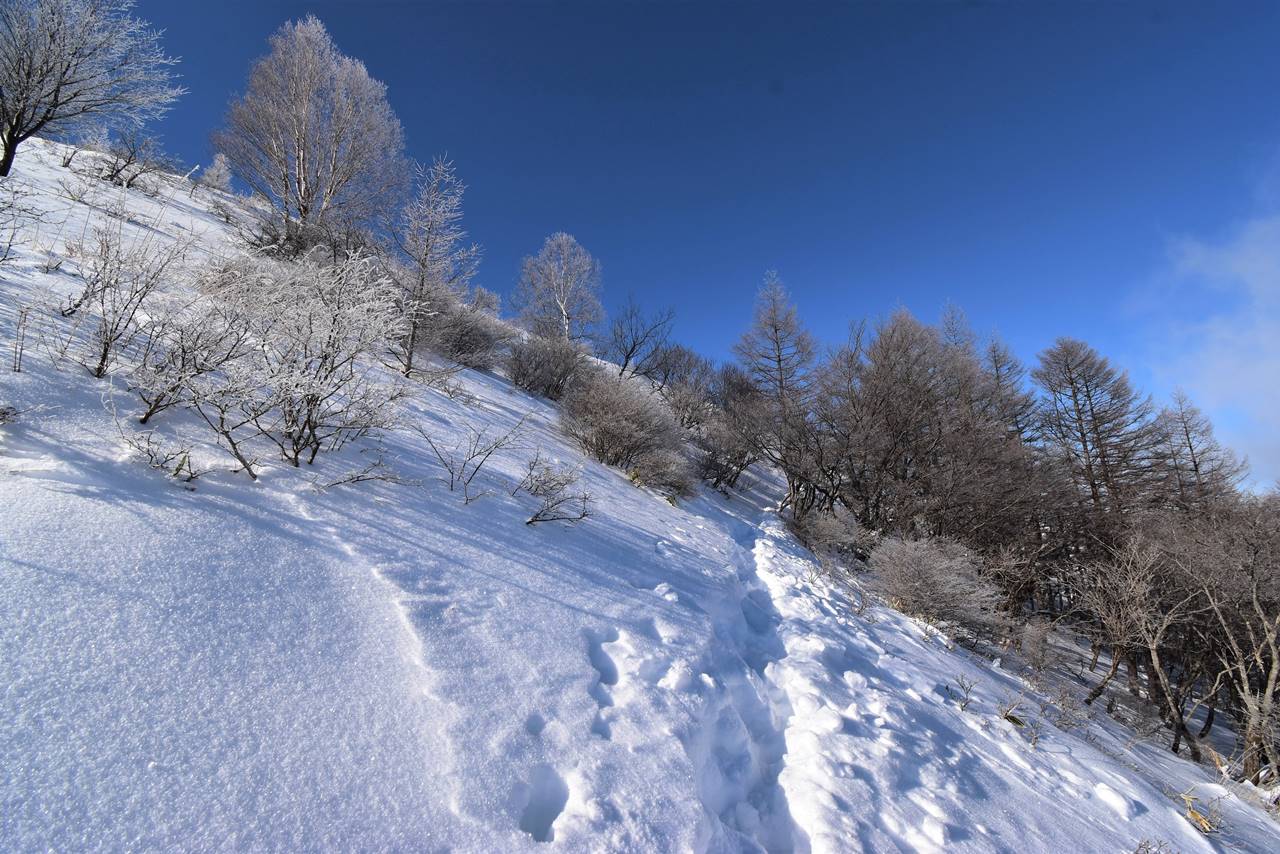 冬の鉢伏山　雪山登山