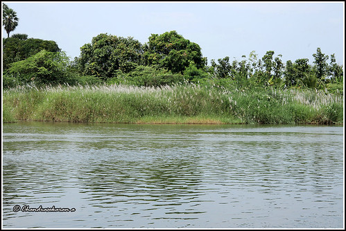 thamiraparani river tamilnadu india tirunelveli canoneos6dmarkii tamronef28300mm thirupudaumarudur