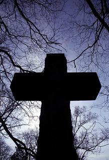 Cincinnati - Spring Grove Cemetery & Arboretum "Cross Inside Branches" | by David Paul Ohmer
